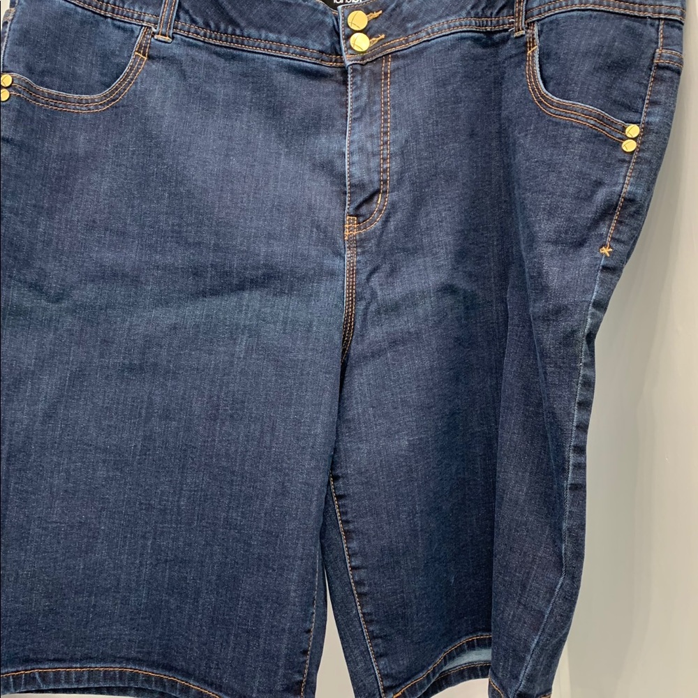Women size 24 lane Bryant shorts